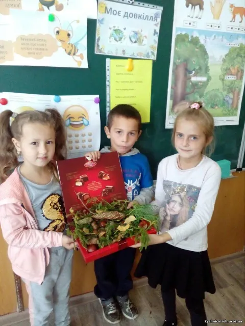 Фото 2 з 8: Нова українська школа