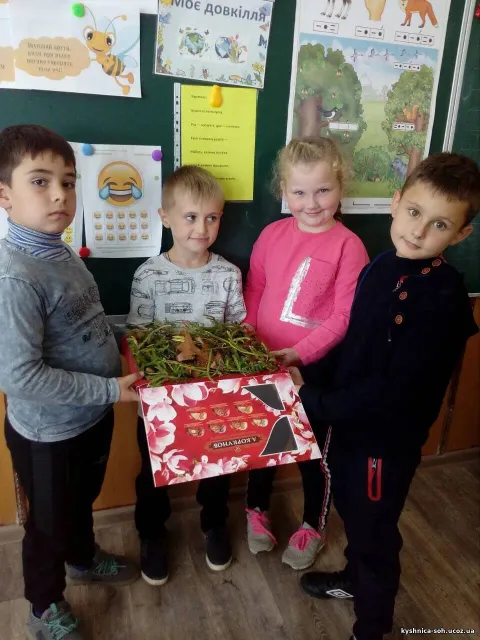Фото 4 з 8: Нова українська школа