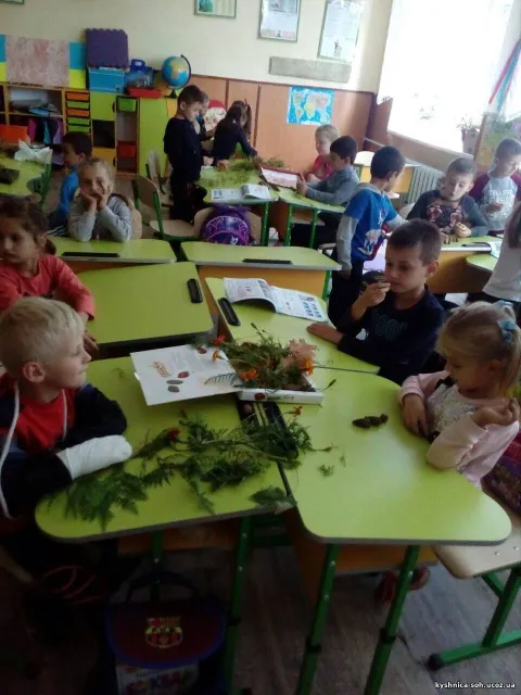 Фото 6 з 8: Нова українська школа