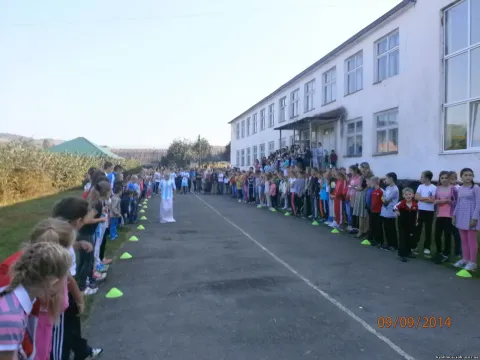 Фото 31 з 31: Фотографії з життя школи, вересень 2014
